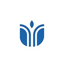 cff